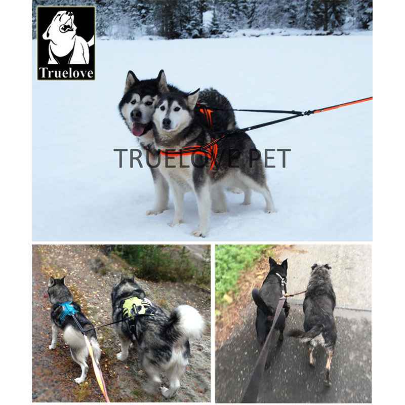 Truelove Nylon Đôi Dây Xích Ch - đánh giá và giá Running Gear Dog