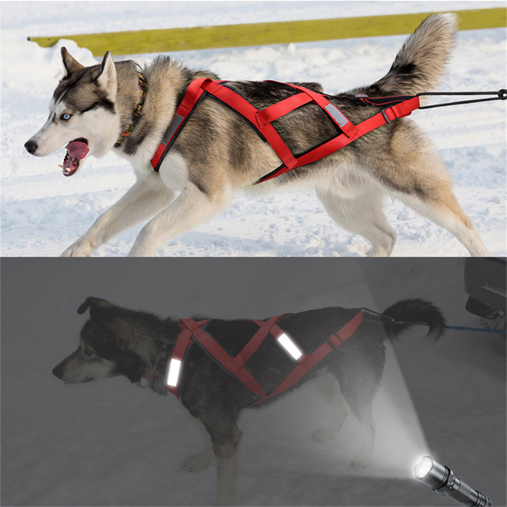 High Quality Big Dog Sledge Ha - đánh giá và giá Running Gear Dog