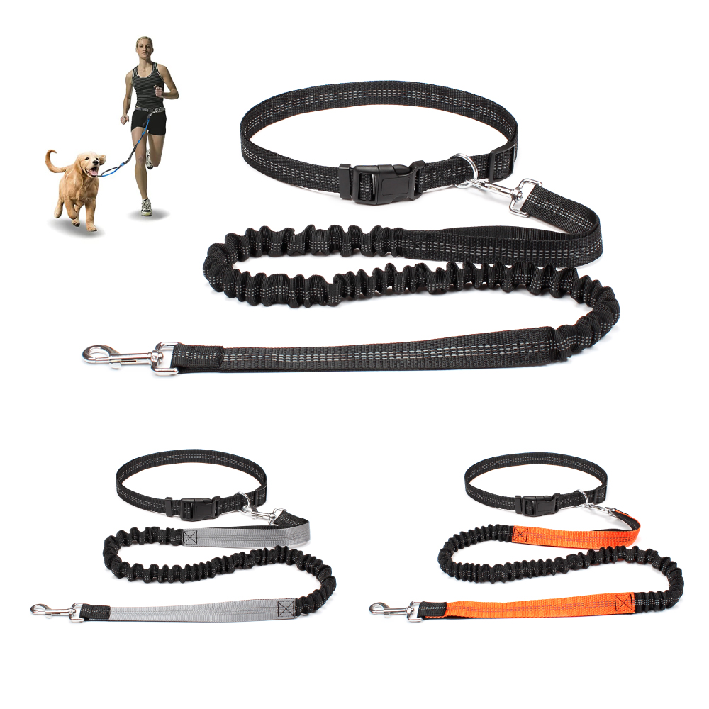 Hand Free Dog Leash for Pet Wa - đánh giá và giá Running Gear Dog