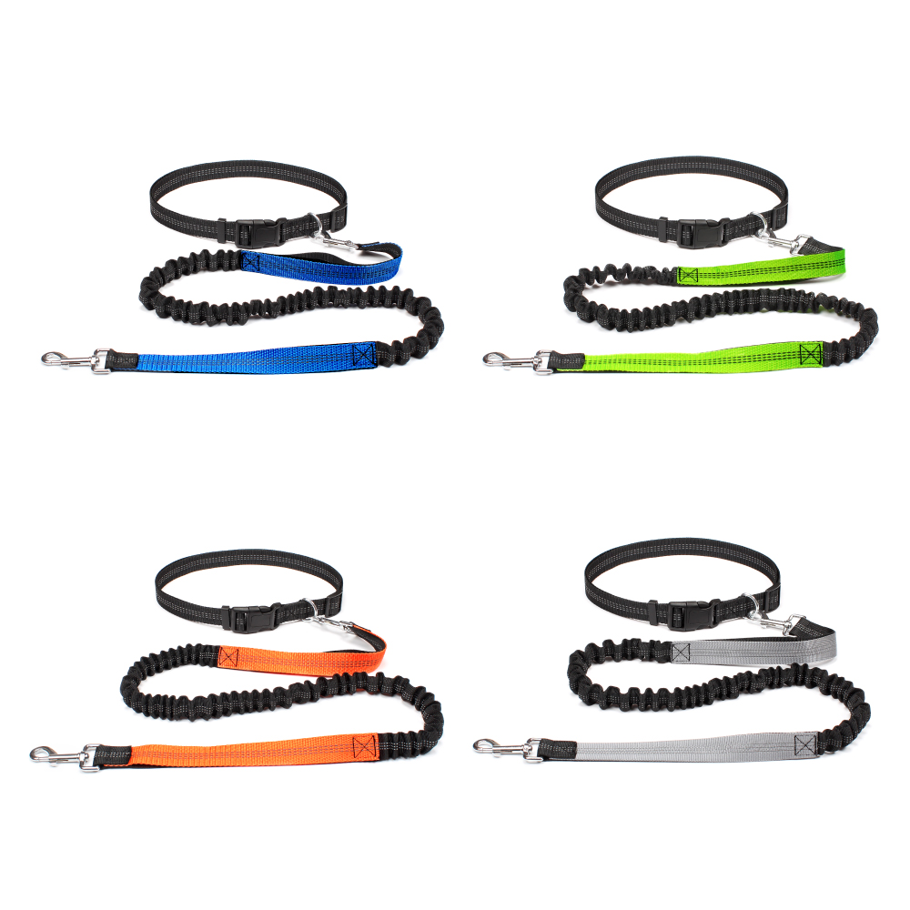 Hand Free Dog Leash for Pet Wa - đánh giá và giá Running Gear Dog