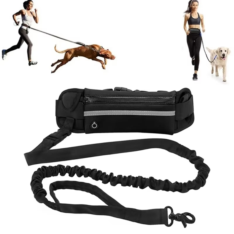 HOMEFISH Hands-Free Dog Leash  - đánh giá và giá Running Gear Dog