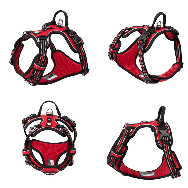 Truelove Thú Cưng Phản Quang N - đánh giá và giá Running Gear Dog