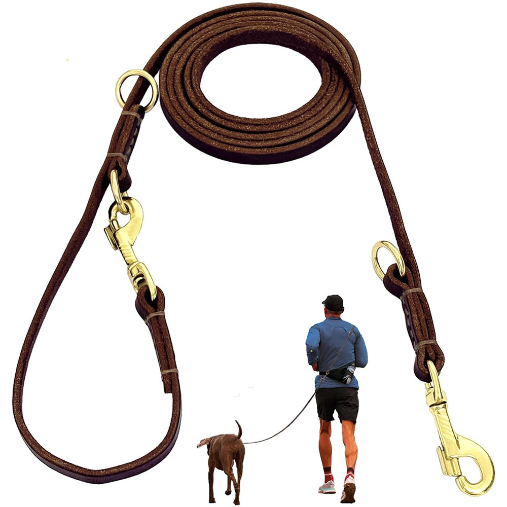 Multi Function Leather Dog Lea - đánh giá và giá Running Gear Dog
