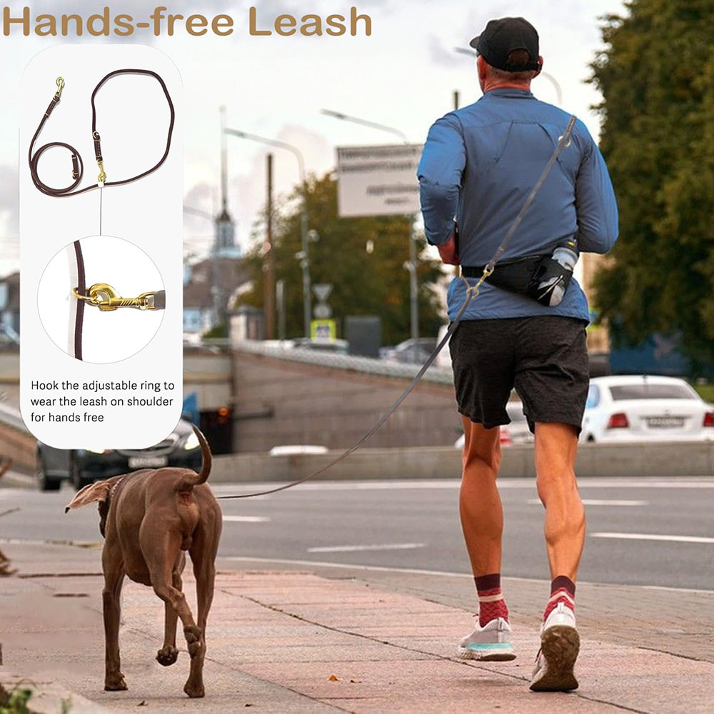 Multi Function Leather Dog Lea - đánh giá và giá Running Gear Dog