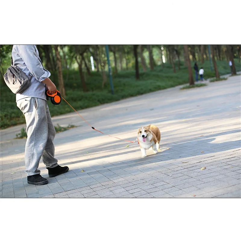 3M/5M/8MRetractable Dog Leash  - đánh giá và giá Running Gear Dog