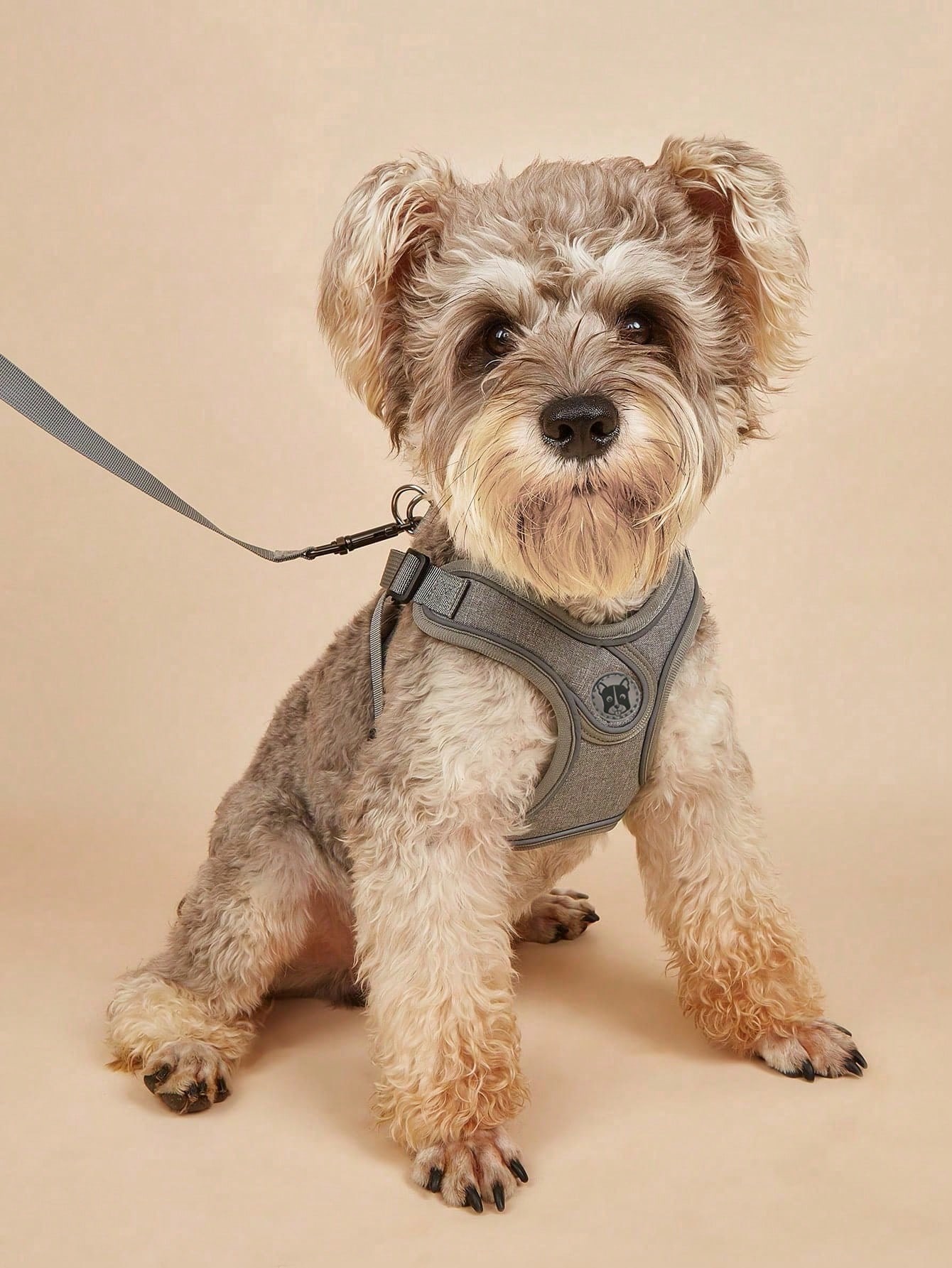 Dog Harness for Small Medium D - đánh giá và giá Running Gear Dog