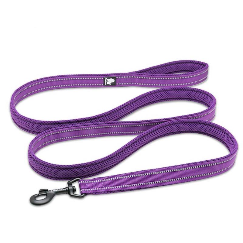 Truelove 200Cm Nylon Chó Dẫn D - đánh giá và giá Running Gear Dog