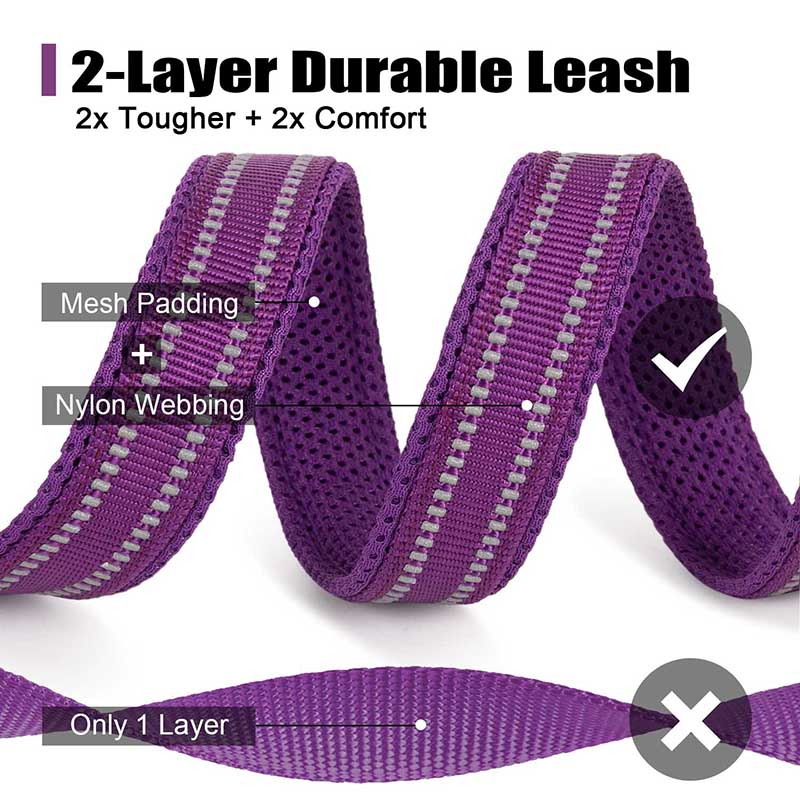 Truelove 200Cm Nylon Chó Dẫn D - đánh giá và giá Running Gear Dog